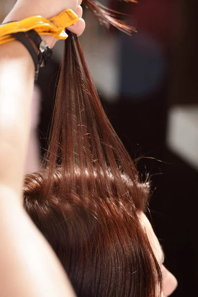 Cuidado do cabelo no salão de beleza moderno — Fotografia de Stock