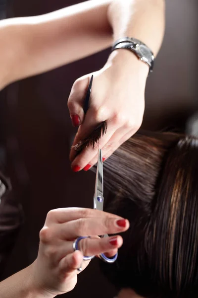 Cuidado do cabelo no salão de beleza moderno — Fotografia de Stock