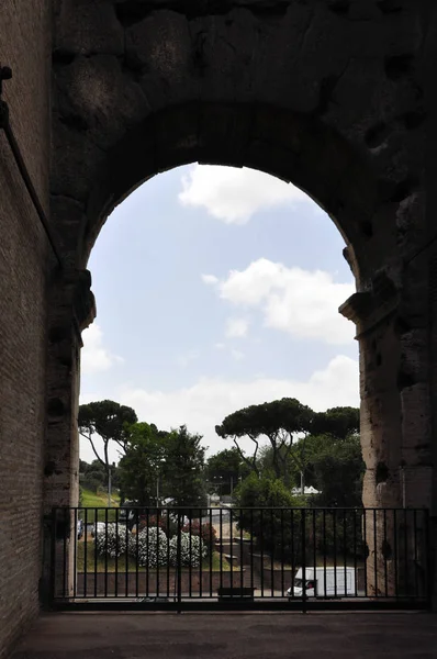 Colosseum and rome ruins, Rome, Italy