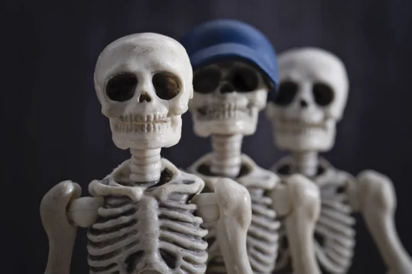 Porträt von Skeletten — Stockfoto