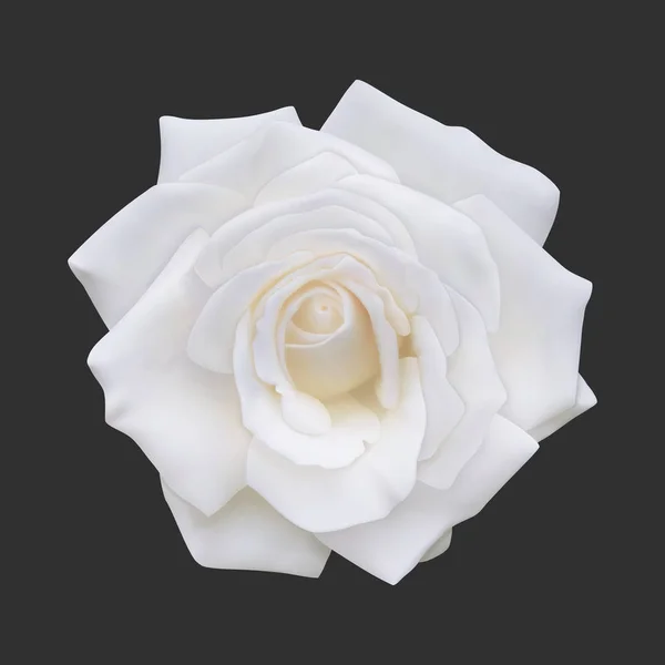 Реалистичная белая роза, векторная иллюстрация — стоковый вектор