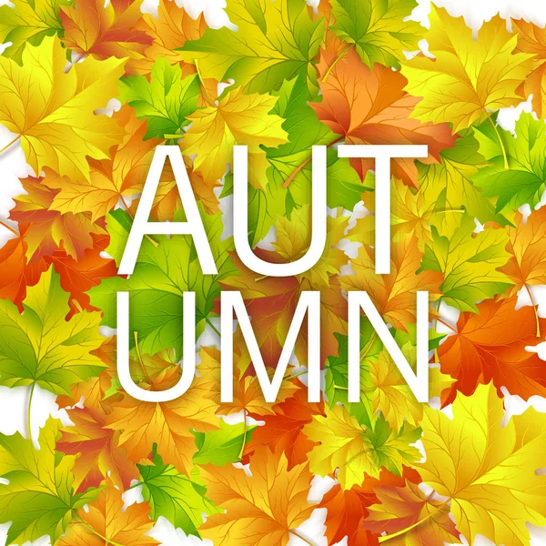 Sonbahar Satılık. Satılık tasarım sonbahar yaprakları ile düşmek