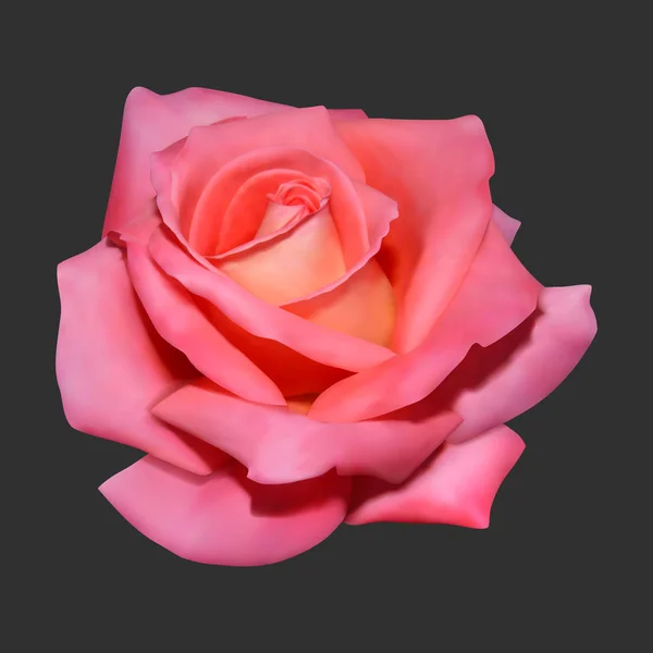 Реалистичная роза на темном фоне . — стоковый вектор