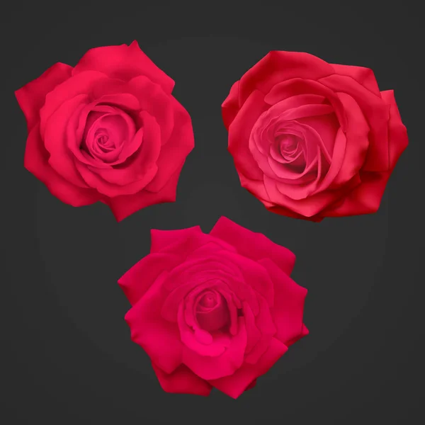 Rosas vermelhas realistas isoladas em um fundo escuro, ilustração vetorial — Vetor de Stock