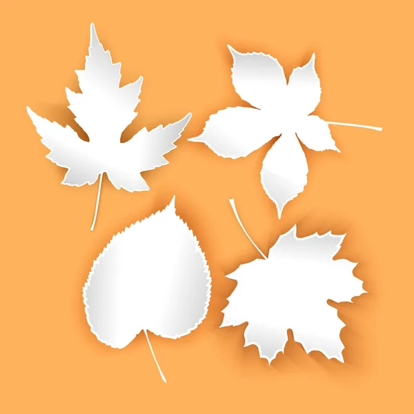 Sammlung schöne Herbstblätter isoliert auf orangefarbenem Hintergrund. Satz weißer Blätter mit Schattenvektorillustration — Stockvektor