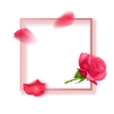 Pembe metin çerçeveli ve gül yapraklı tebrik kartı, güllerle süslenmiş kartpostal, vektör illüstrasyonu