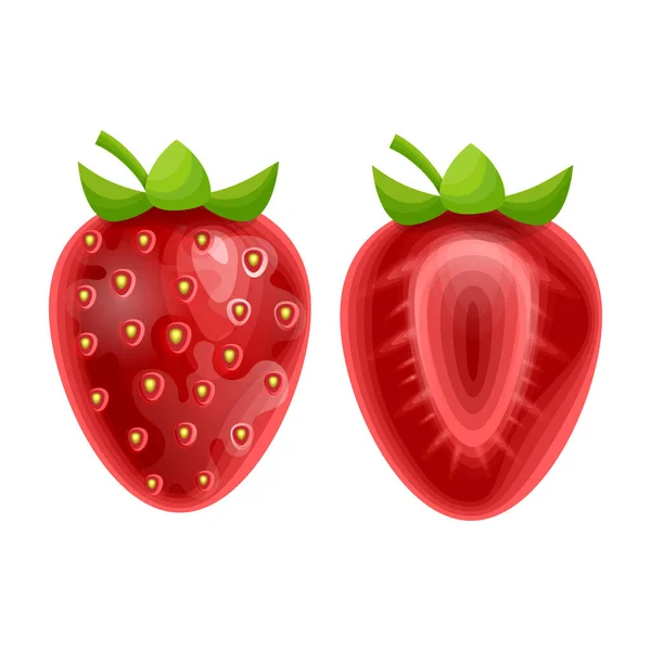 Fraise Entière Demi Fraise Tranchée Baies Fraîches Rouges Mûres Moelleuses — Image vectorielle