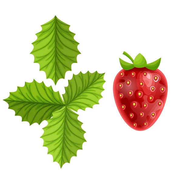 Ensemble Fraises Avec Des Feuilles Fruits Dans Style Cartoon Isolé — Image vectorielle