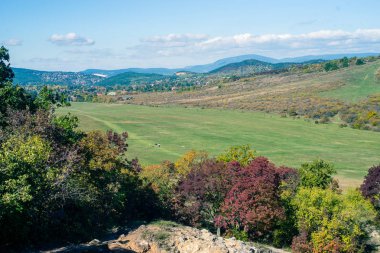 Renkli sonbahar orman Huvosvolgy, Budapeşte manzarada Woods, 