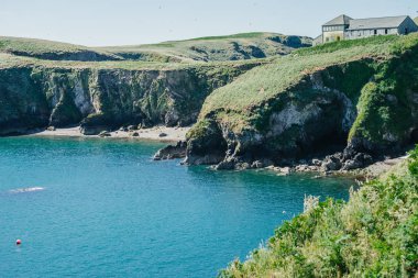 Skomer Adası Pembrokeshire Batı Galler İngiltere'de şirketten müdürleri