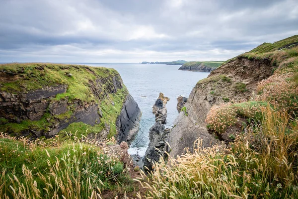 Caerfai Beach vista del paisaje marino en un día nublado West Wales UK . — Foto de Stock