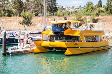 Sarı yunus kıyı şeridi cruise katamaran izlerken Marina de Albufeira, Albufeira Algarve, bay Portekiz'de bağlı
