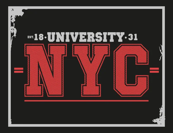 Université Collège New York Typographie Graphiques Shirt Illustration Vectorielle — Image vectorielle
