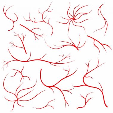 Göz damarları. İnsan gözü damarları, kan damarları ayarlayın. Tıbbi göz küresi damar damar sistemi. Vektör çizim