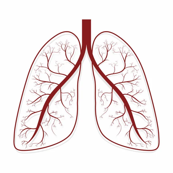 Pulmones Símbolo Anatomía Pulmones Humanos Ilustración Vectorial — Archivo Imágenes Vectoriales