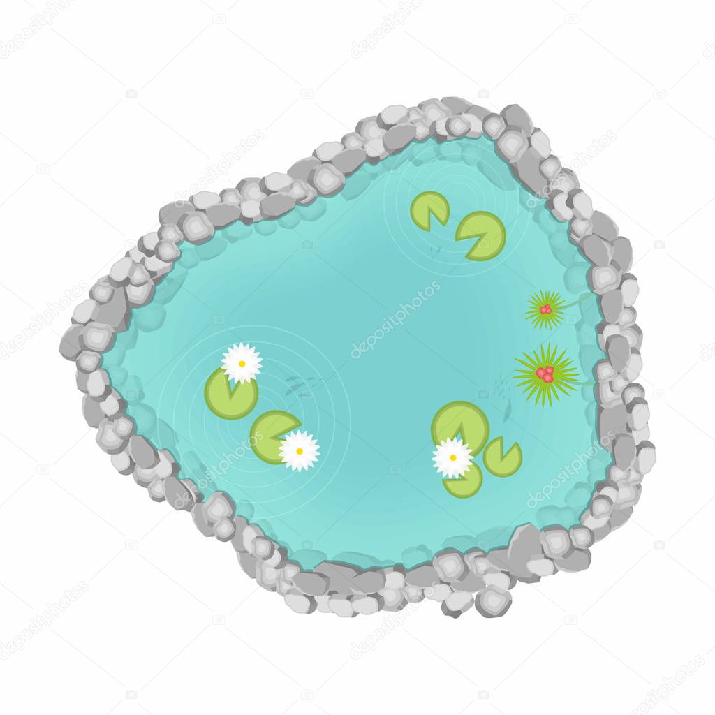 Lake in top view. Pond, decorative pool with rocks, plants, reeds and fish in water. Cartoon style, view from above. Vector