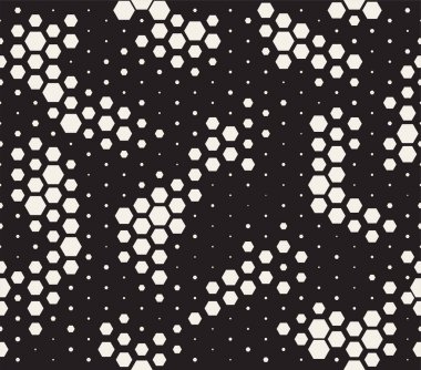Halftone pattern. Snake skin style seamless pattern. Black and white background with halftone transition vector