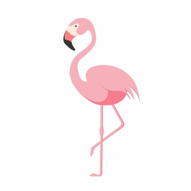 Flamingo üzerinde arka izole. Tek ayak üzerinde pembe flamingo duran. Afrika egzotik kuş