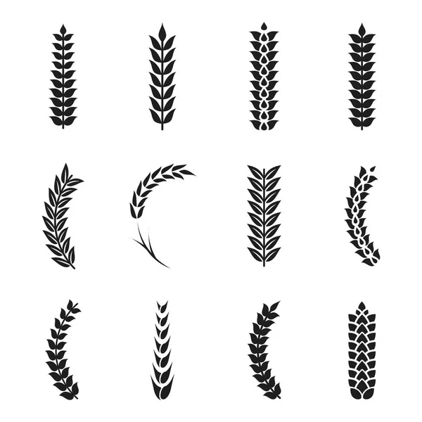 Vector wheat ears icons. Oat and wheat grains — Stock Vector