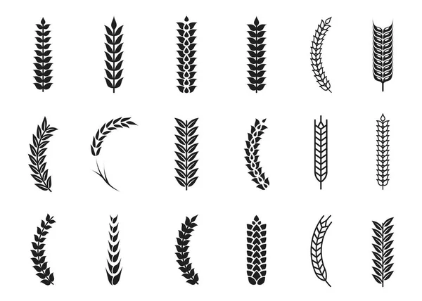 Vector wheat ears icons. Oat and wheat grains — Stock Vector