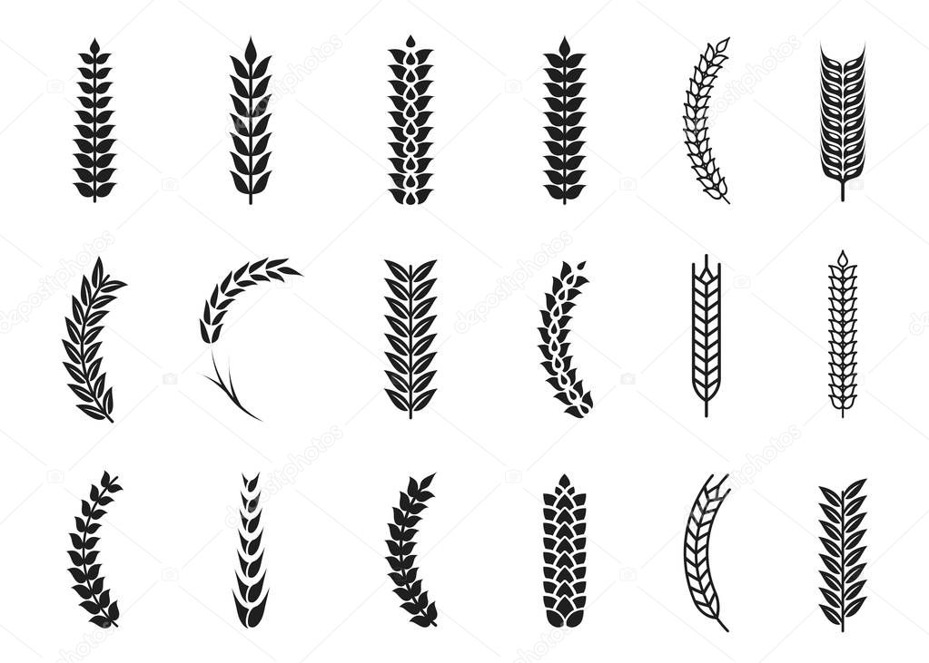 Vector wheat ears icons. Oat and wheat grains