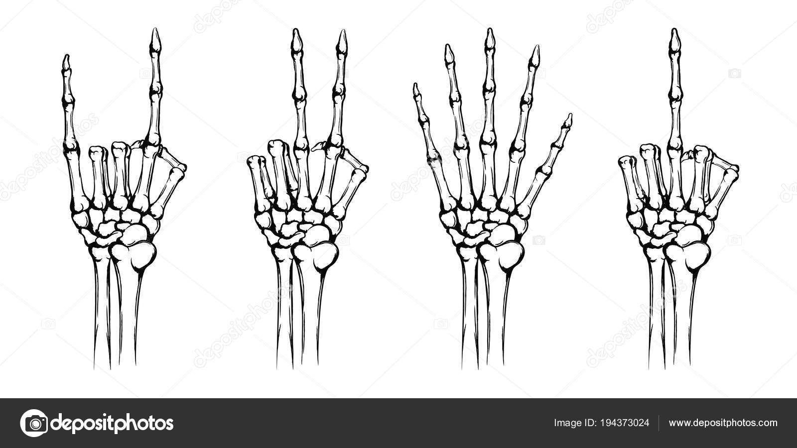 rock on skeleton hand background