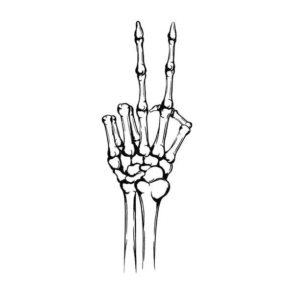 Middle Finger Skeleton Stickers for Sale  Redbubble