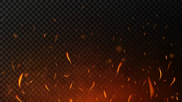 Fire PNG Effects Stock Image (Isolated-Objects)