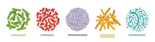 Пробиотики Молочные Кислоты Хорошие Бактерии Микроорганизмы Здоровья Человека Микроскопические Пробиотики — стоковый вектор