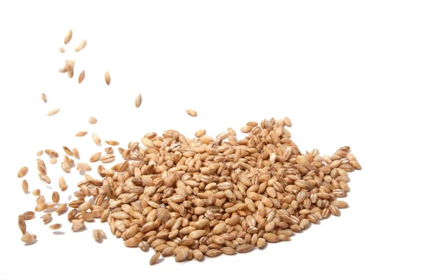 Natural Wheat Grain White — Stock Photo, Image