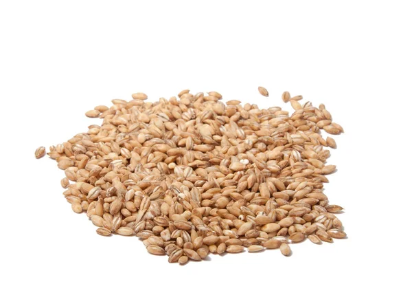 Grano Trigo Natural Blanco — Foto de Stock