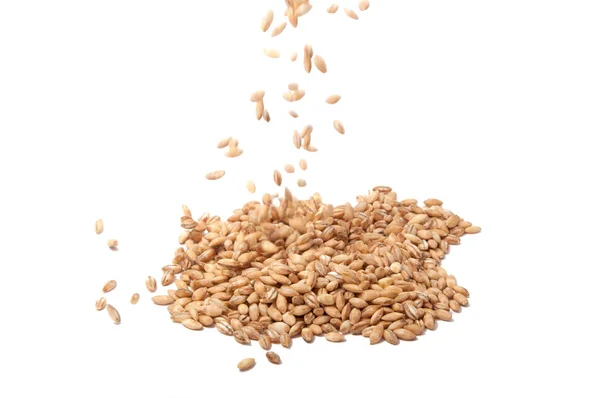 Natural Wheat Grain White — Stock Photo, Image