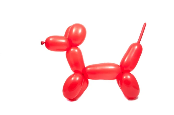 Ballong Röda Hund Isolerat Vitan — Stockfoto