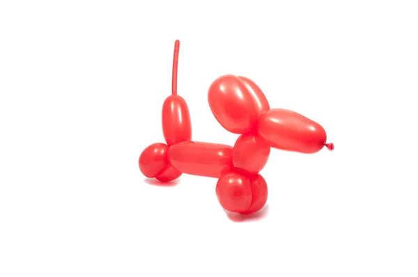 Balon Czerwony Pies Białym Tle — Zdjęcie stockowe