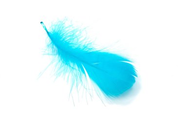 Beyaz stüdyo arka planda izole mavi Kabarık tüy yumuşak