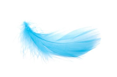 Blue fluffy feather soft isolated on the white studio background clipart