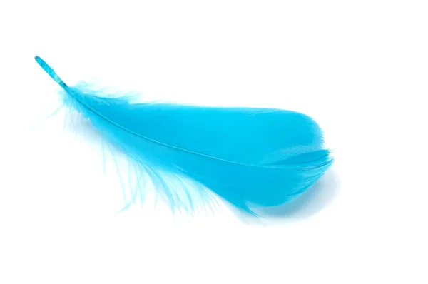 Blue fluffy feather soft isolated on the white studio background — Stock Photo, Image