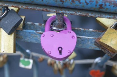 metal kalp kilidi veya asma kilit