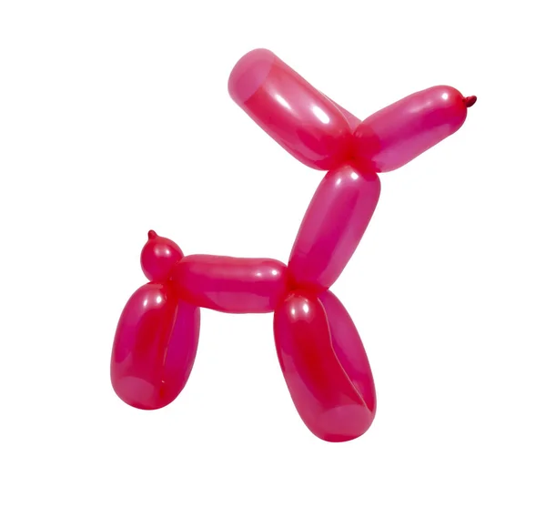 Red Balloon Model Dog Isolated White — Stock fotografie