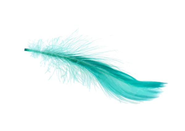 Elegant Green Feather Isolated White — Stock Photo, Image