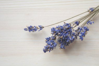 Ahşap zemin üzerinde boş alanı olan parlak lavanta