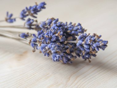 Ahşap zemin üzerinde boş alanı olan parlak lavanta