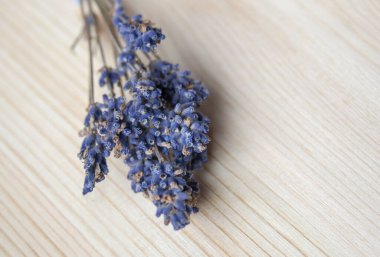 Ahşap zemin üzerinde boş alanı olan parlak lavanta