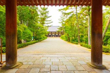 Toshodai-Ji Tapınağı giriş sütun yolu Nara H