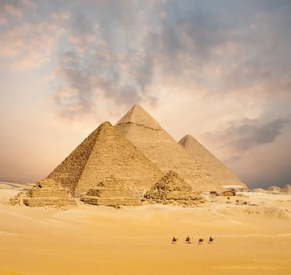 Pôr-do-sol todas as pirâmides egípcias camelos distantes — Fotografia de Stock