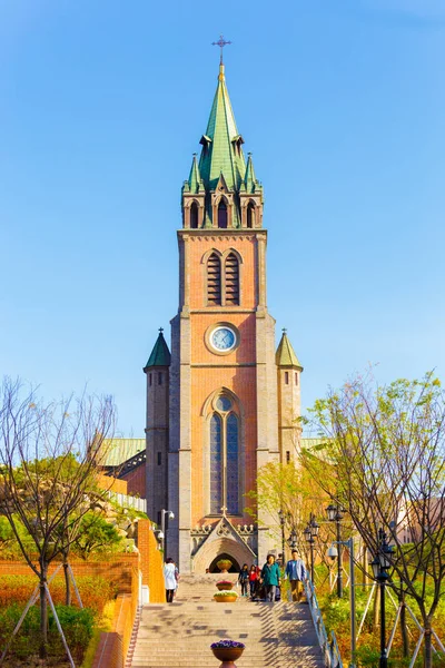 Myeongdong собор далеких кроки стійка людей Стокова Картинка