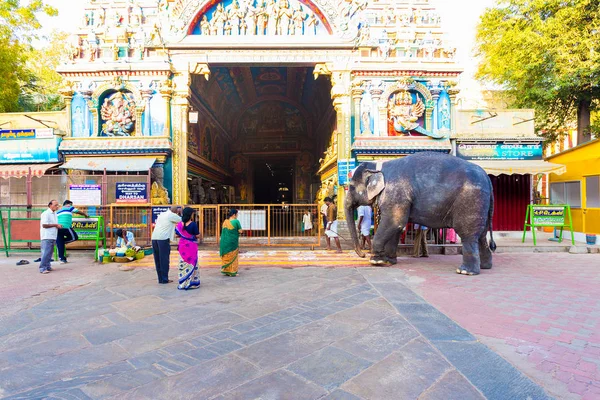 Madurai Meenakshi Amman tempel Gateway olifant — Stockfoto