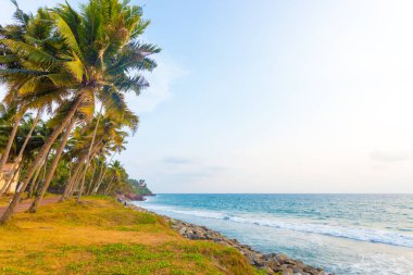 Varkala sahil çim Palm ağaçlar okyanus H