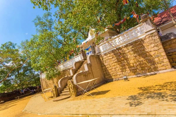 Anuradhapura Jaya Sri Maha Bodhi 树南台阶 — 图库照片