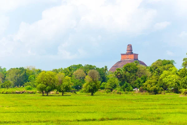 Anuradhapura Jetavanaramaya Stupa Distant H — Stock Photo, Image